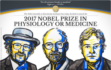 Nobel Prize 2017 circadian rhythm