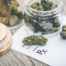 medical marijuana cannabis