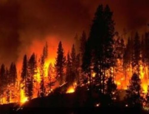 Support for clinicians impacted by California wildfires