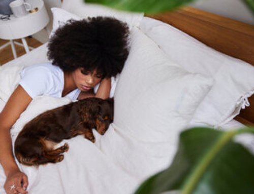 ‘Fur-ever’ friends keeping you up at night? One-third of Americans experience disrupted sleep due to pets