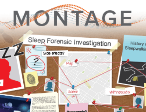 Read Montage magazine issue two of 2024